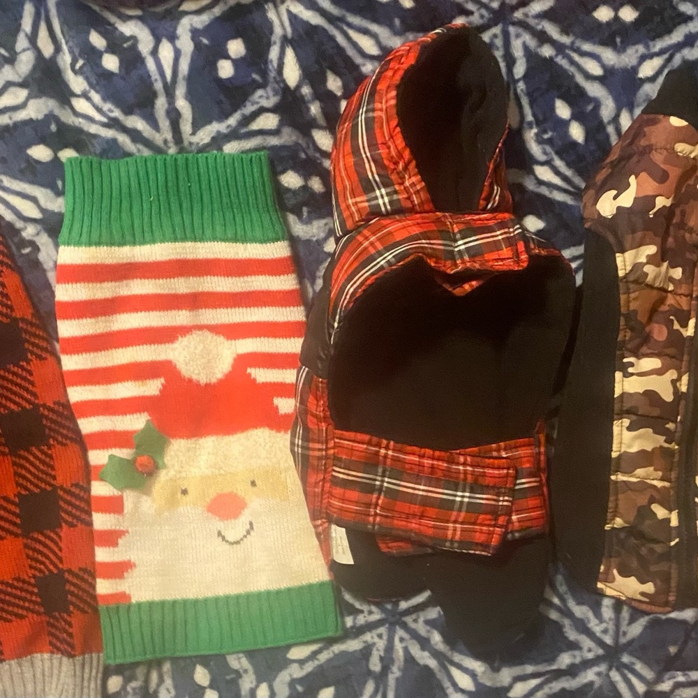 Small Pet Bundle! Please SEE ALL PHOTOS..